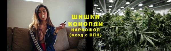 МДПВ Лиски
