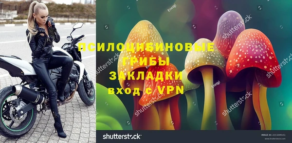 МДПВ Лиски