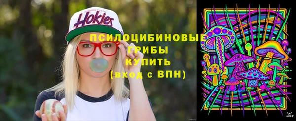 МДПВ Лиски