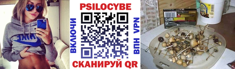 закладка  Томилино  KRAKEN ONION  Псилоцибиновые грибы GOLDEN TEACHER 